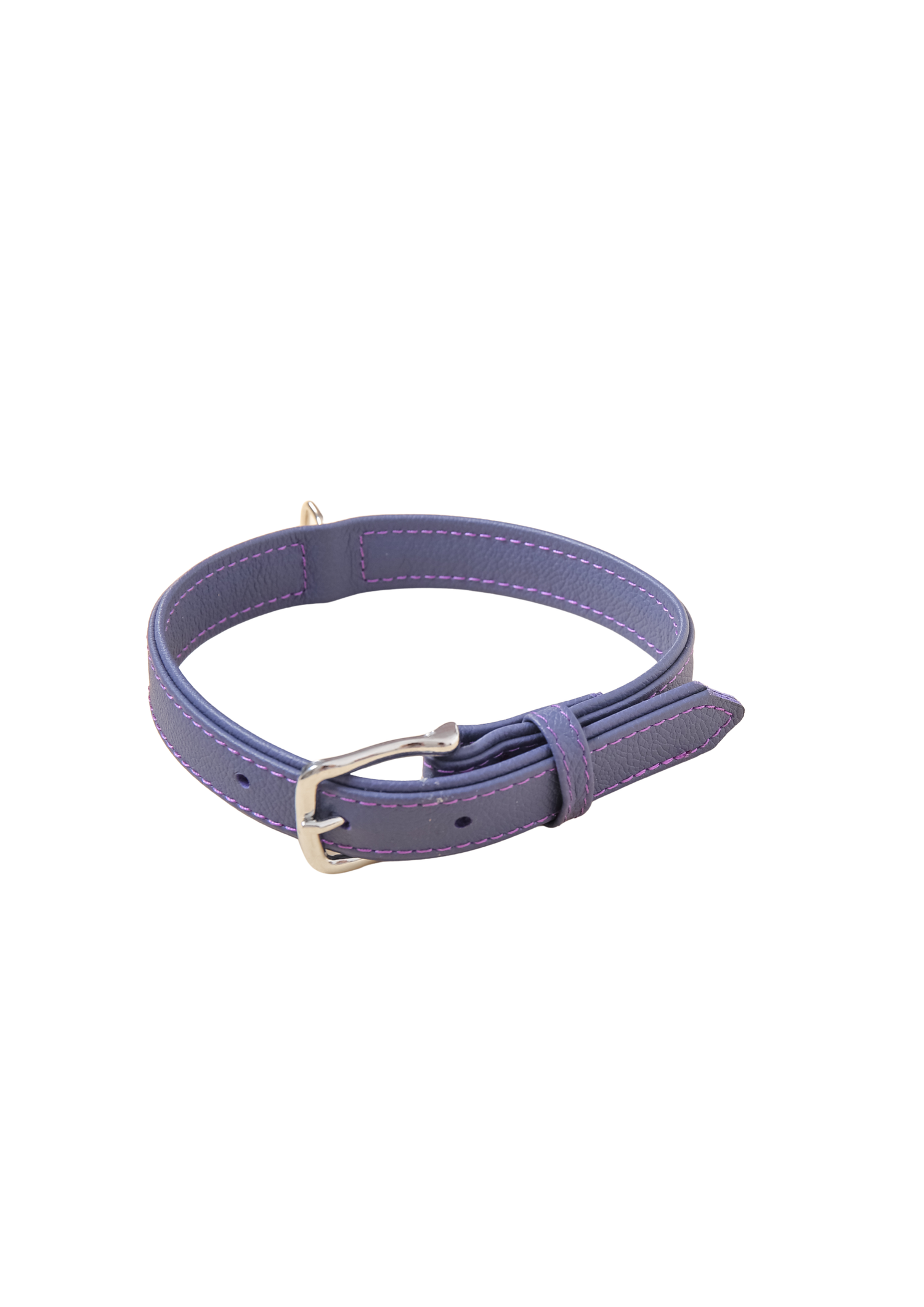 Pet Food & Accessories